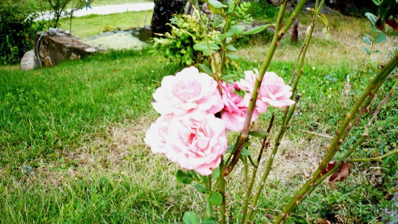 Один День в Лерик - Релаксе (35 км. от Ленкорань). Наши впечатления