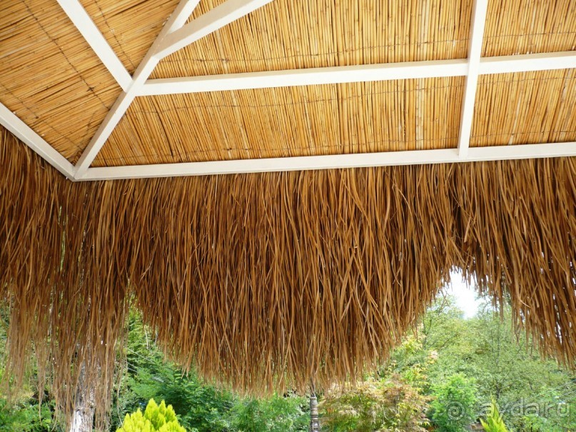 Один День в Лерик - Релаксе (35 км. от Ленкорань). Наши впечатления