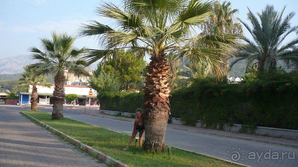 Турция. Кемер. Отдых для влюблённых.