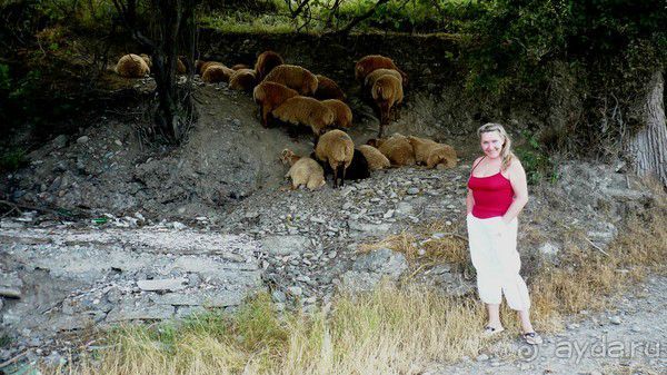 Набрань. Азербайджан. Садж - сказочно-экзотическое блюдо, обед у моря и садж в подарок с собой.