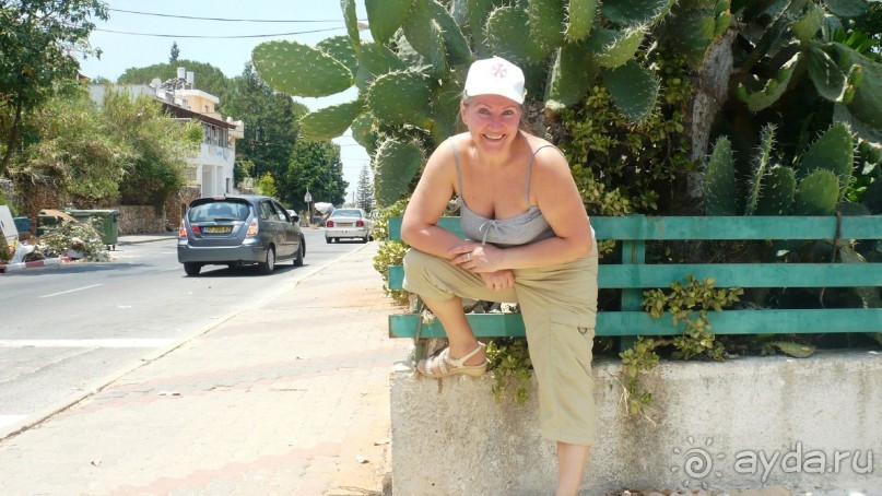 Организация экскурсий в Израиле. Путевые заметки очевидца