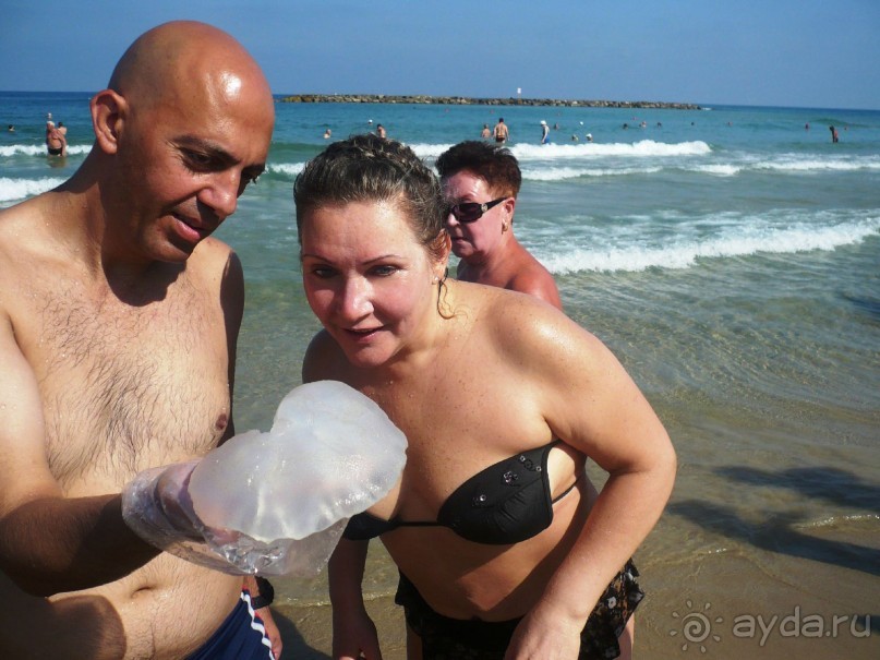 Организация экскурсий в Израиле. Путевые заметки очевидца