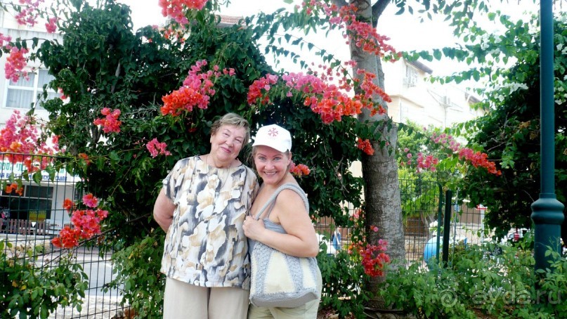 Организация экскурсий в Израиле. Путевые заметки очевидца