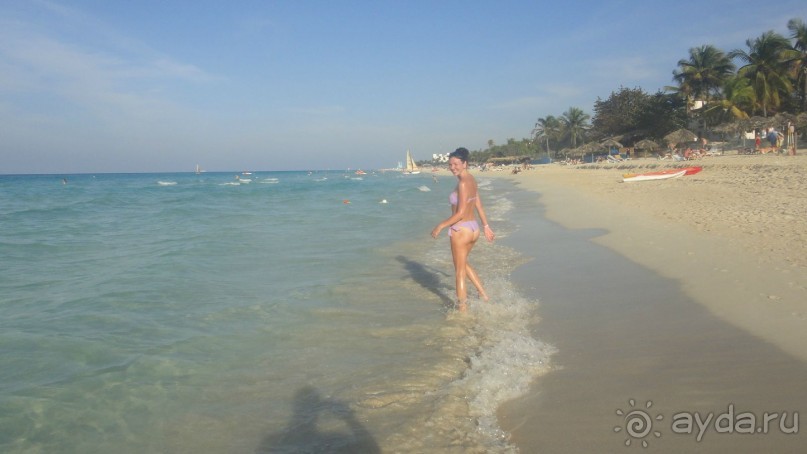 фото Starfish Cuatro Palmas