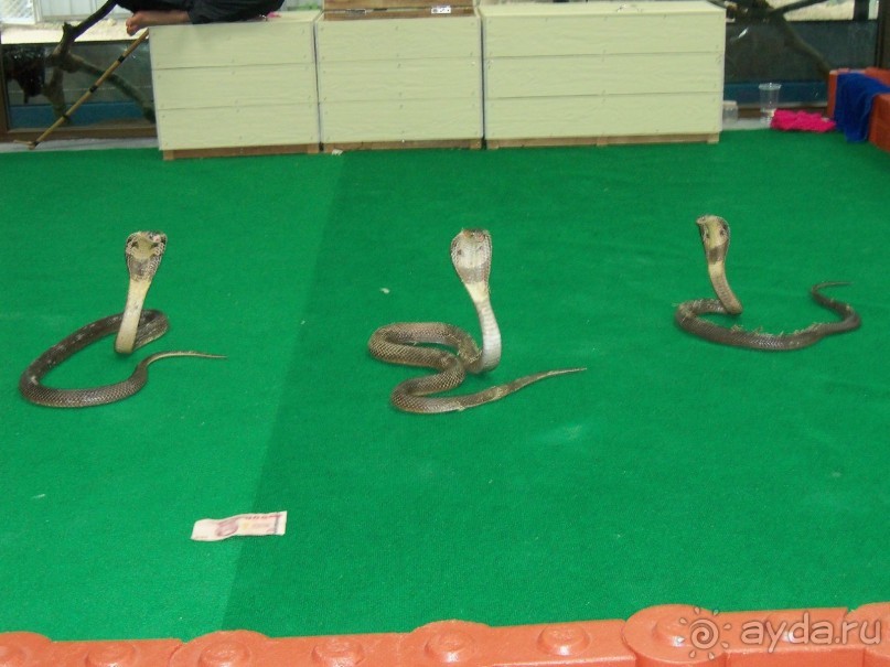 Скромный, но приличный отель с некоторыми особенностями