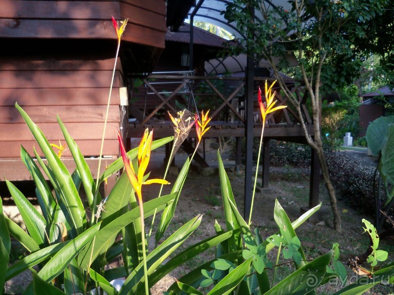 Скромный, но приличный отель с некоторыми особенностями