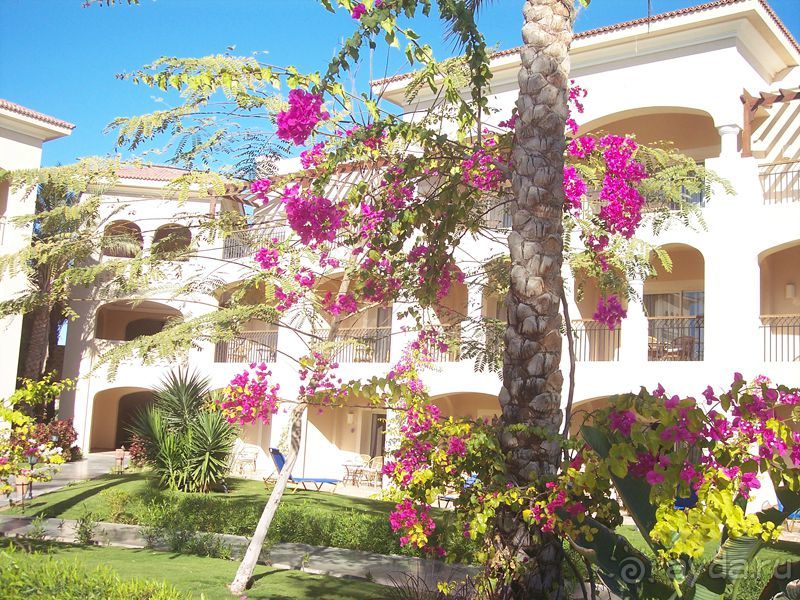 Сюрприз от отеля и приятные воспоминания