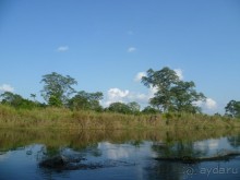 Лицом к лицу с Буддой (Непал)