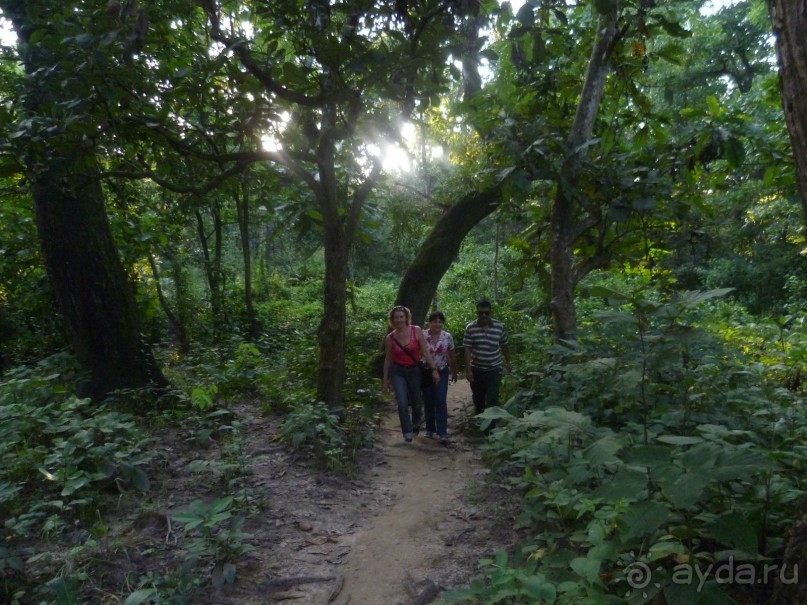 Лицом к лицу с Буддой (Непал)
