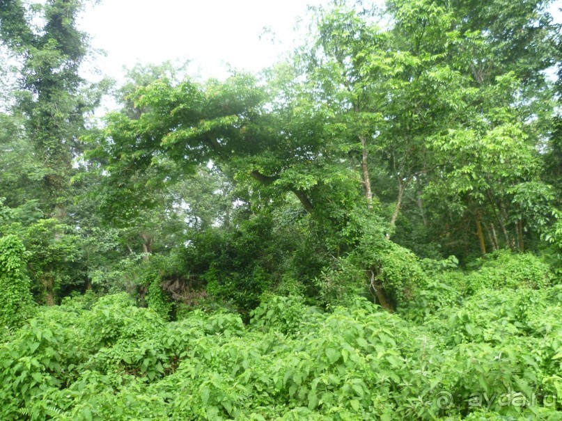 Лицом к лицу с Буддой (Непал)