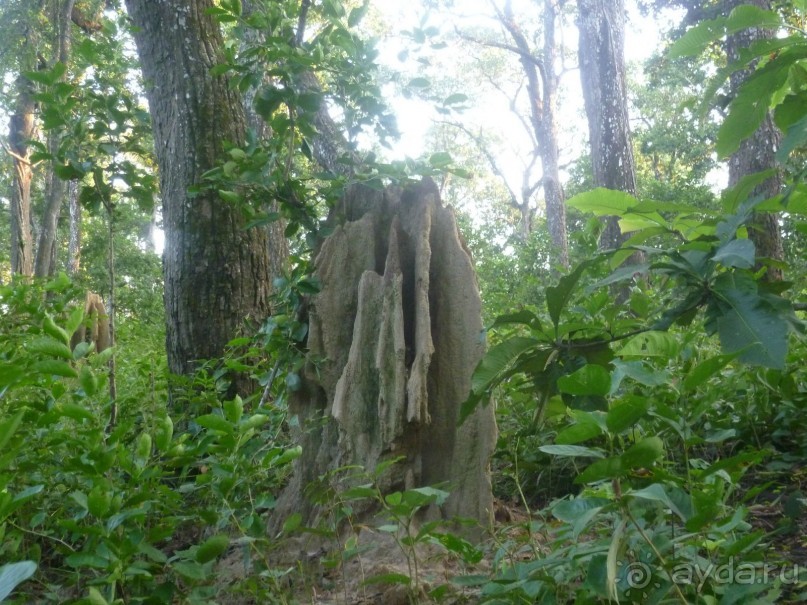 Лицом к лицу с Буддой (Непал)