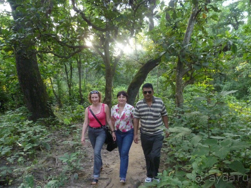 Лицом к лицу с Буддой (Непал)