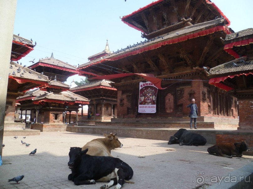 Лицом к лицу с Буддой (Непал)