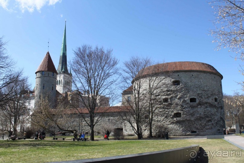 Буквально через дорогу от башни Старая Маргарита