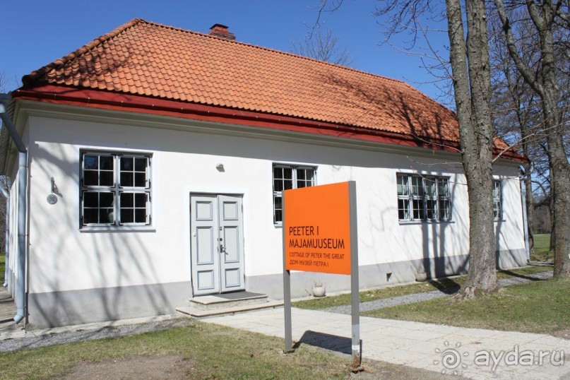 Буквально через дорогу от башни Старая Маргарита