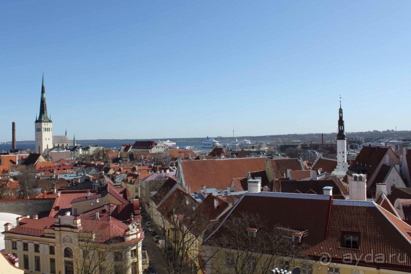 Буквально через дорогу от башни Старая Маргарита