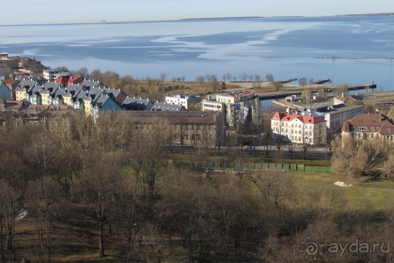 Буквально через дорогу от башни Старая Маргарита