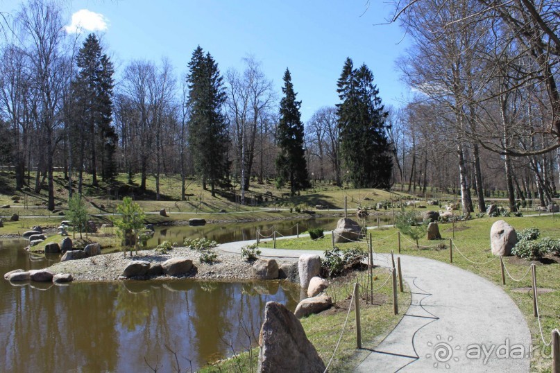Буквально через дорогу от башни Старая Маргарита