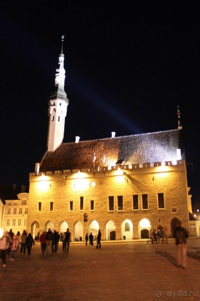 Буквально через дорогу от башни Старая Маргарита