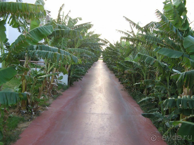 фото Delfinia Resort