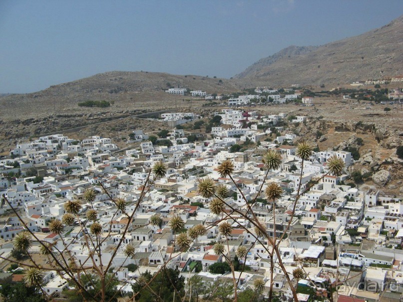 фото Delfinia Resort