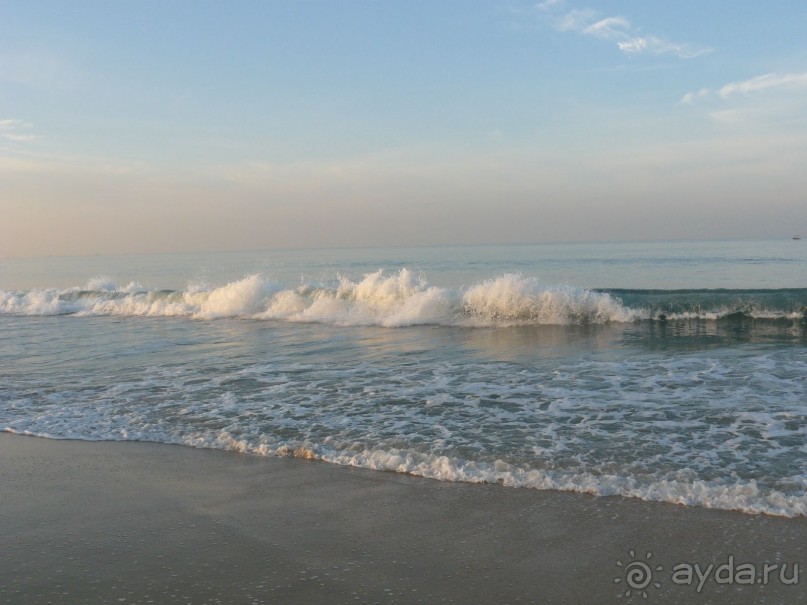 Альбом отзыва "Coconut Grove 4* ноябрь-декабрь2012"