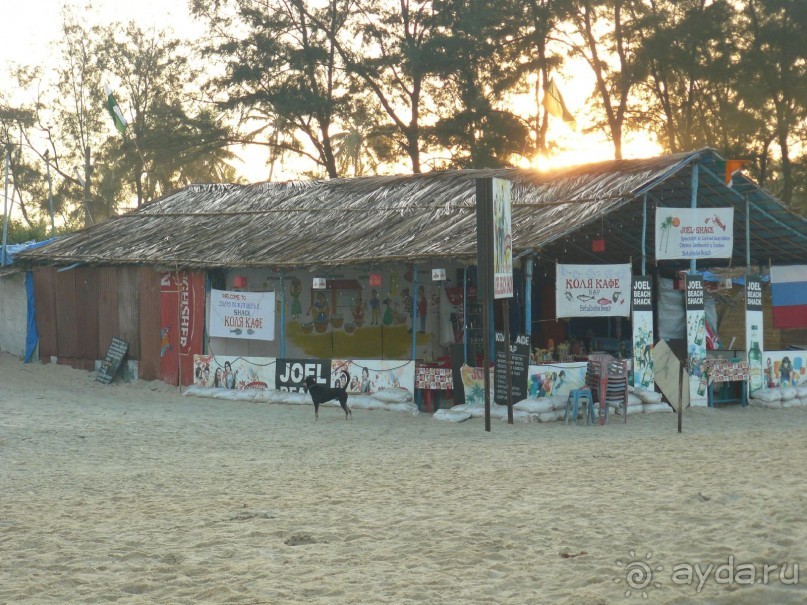 Альбом отзыва "Coconut Grove 4* ноябрь-декабрь2012"