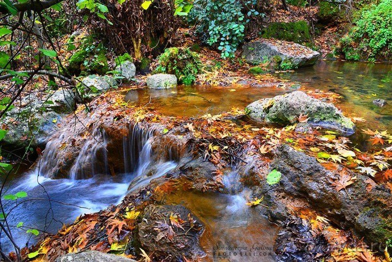 фото Тверии