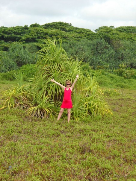 Простой, комфортный, уютный отель без излишенств