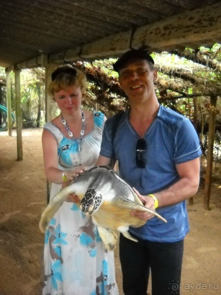 Простой, комфортный, уютный отель без излишенств