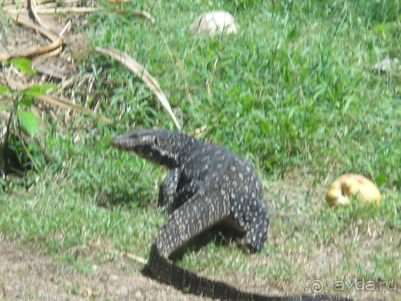 Простой, комфортный, уютный отель без излишенств