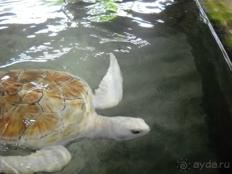 Простой, комфортный, уютный отель без излишенств