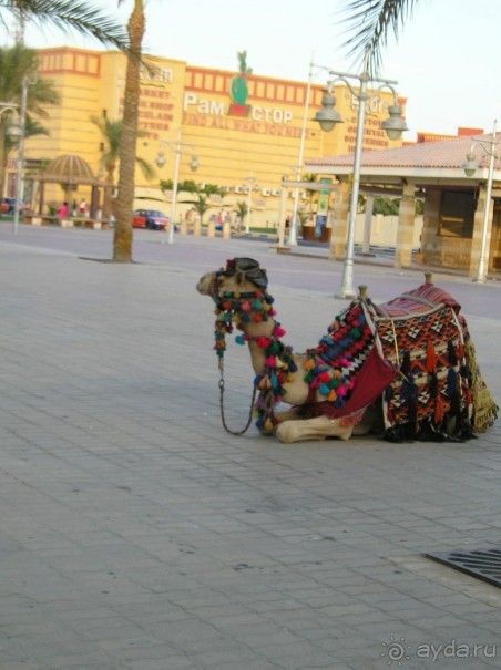 Обязательно вернемся....