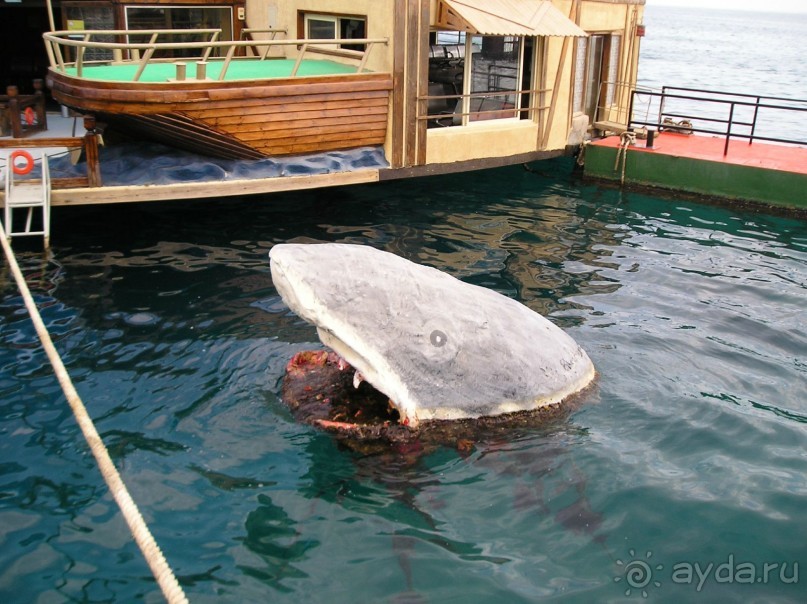Обязательно вернемся....