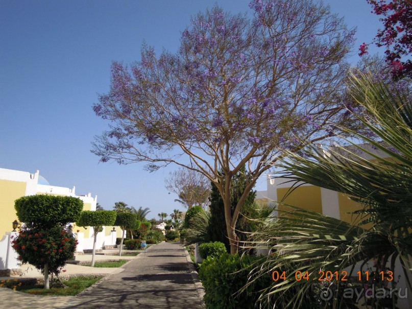 фото Mirage Bay Resort & Aquapark