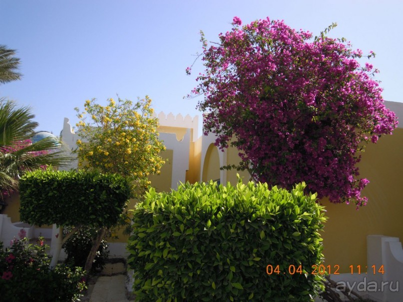 фото Mirage Bay Resort & Aquapark