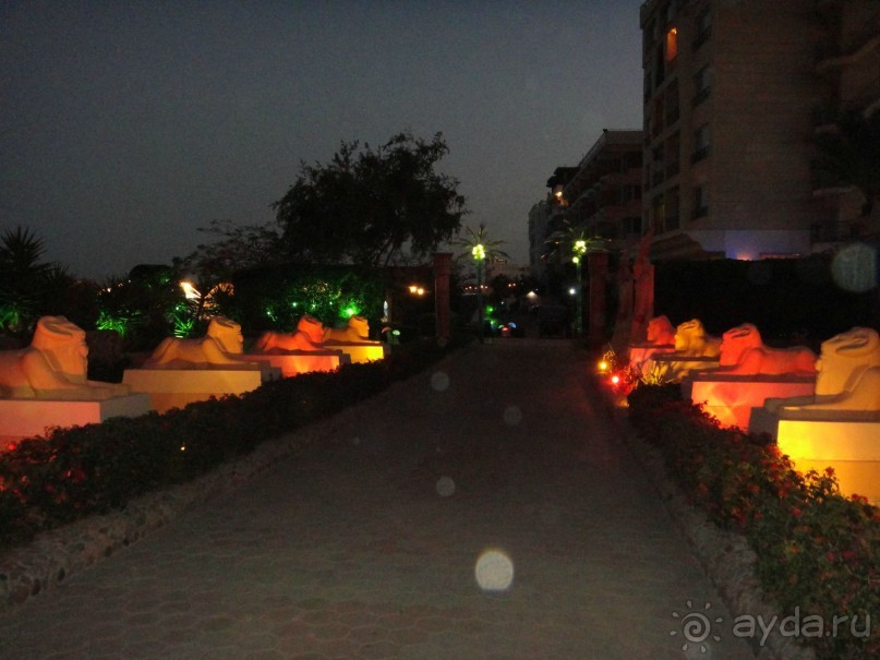фото Sphinx Aqua Park Beach Resort
