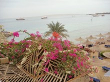 фото Sphinx Aqua Park Beach Resort