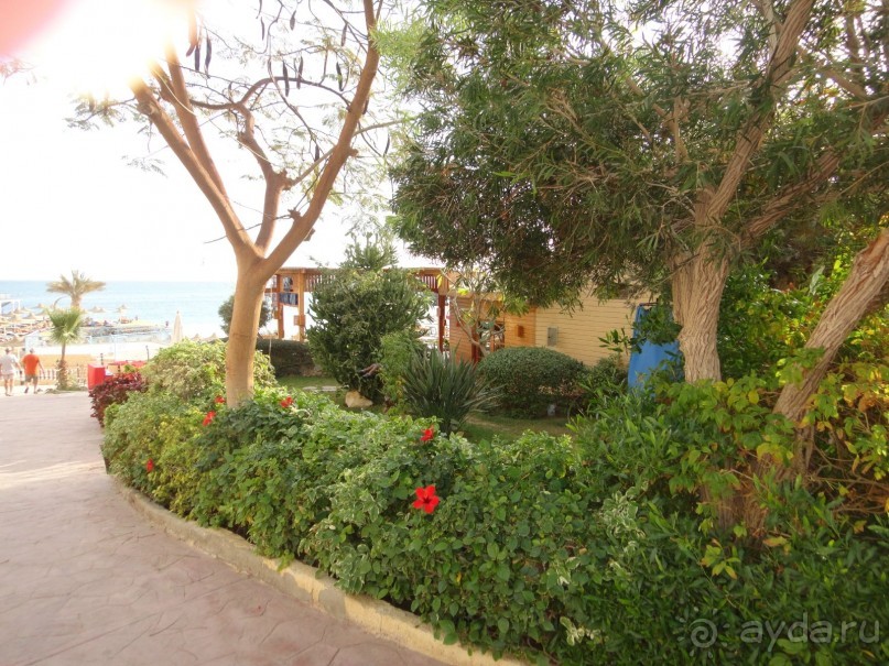 фото Sphinx Aqua Park Beach Resort