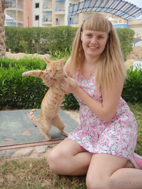 фото Sphinx Aqua Park Beach Resort