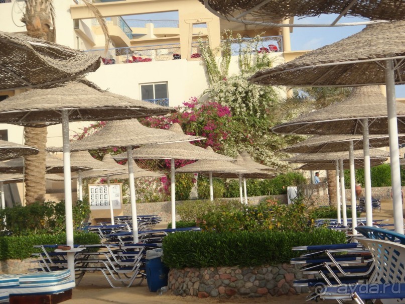 фото Sphinx Aqua Park Beach Resort