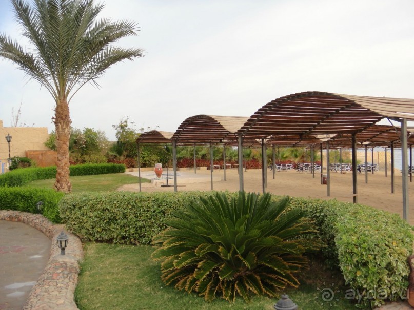 фото Sphinx Aqua Park Beach Resort