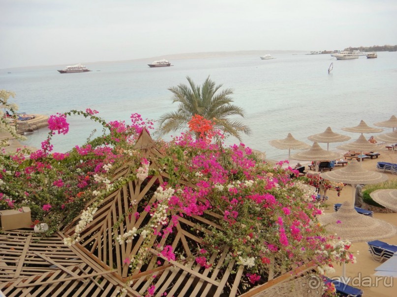 фото Sphinx Aqua Park Beach Resort