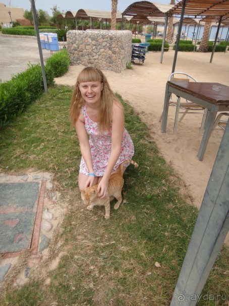 фото Sphinx Aqua Park Beach Resort