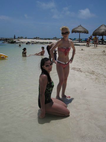 фото Fiesta Resort and Spa