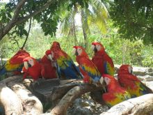 фото Fiesta Resort and Spa