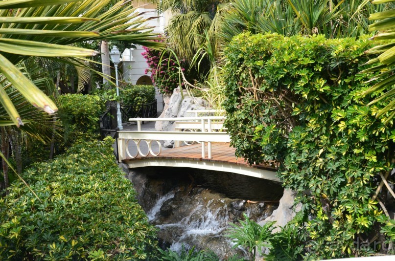 фото Pacific Islands Club