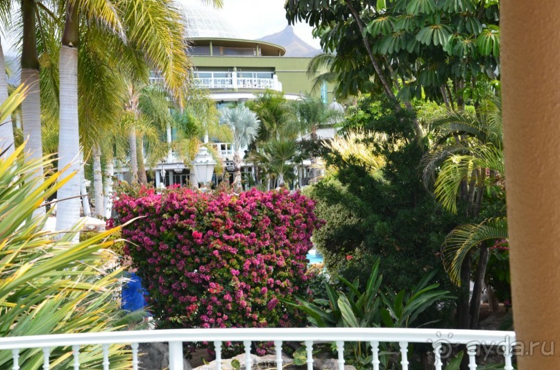 фото Pacific Islands Club