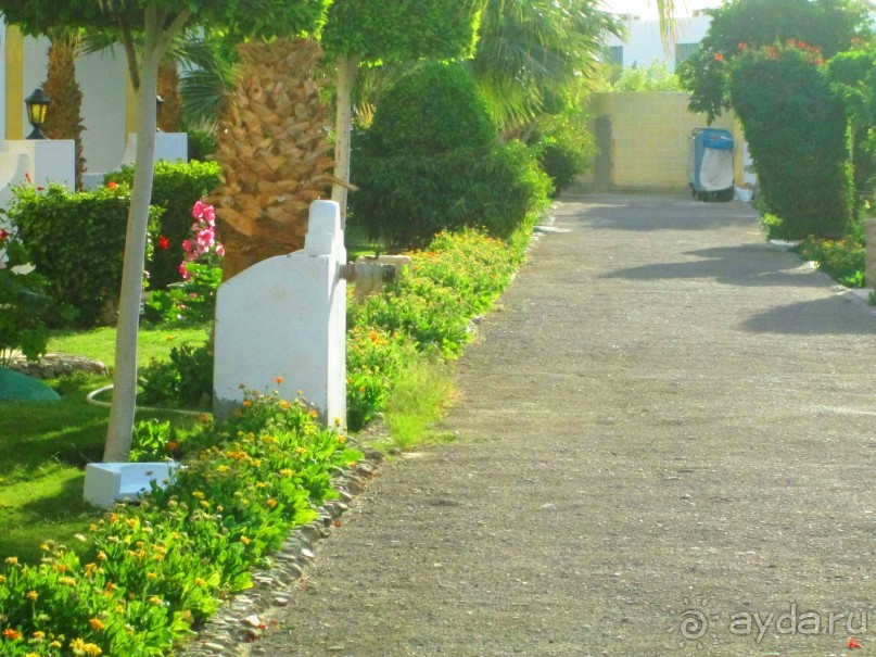 Сам себе развлечение