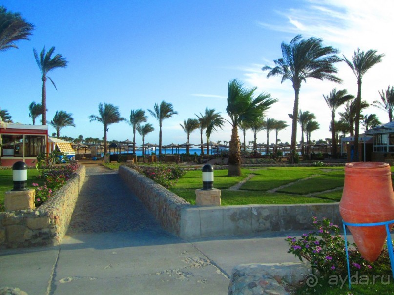 Сам себе развлечение